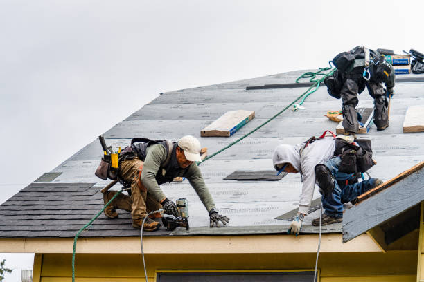 Professional Gutter Installation technician working in Blair, NE